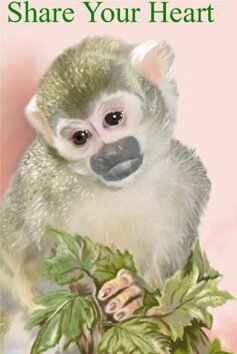 Howard is one of the squirrel monkeys recently retired to Jungle Friends from the same lab.