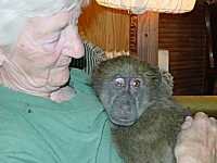 Rita Miljo, founder of CARE, with an orphaned baboon who is being rehabilitated.